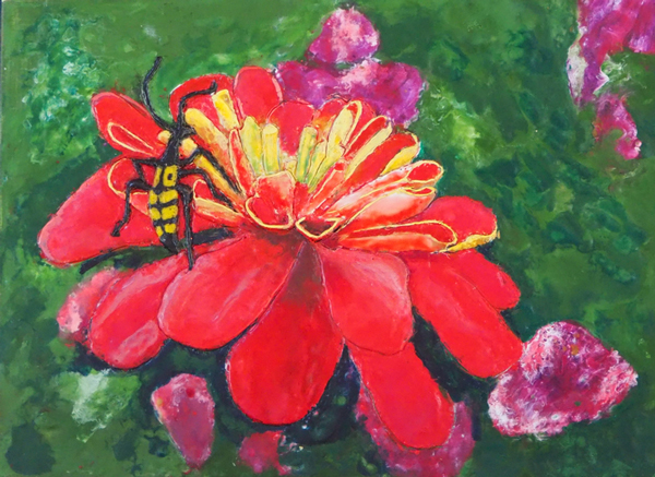 zinnia_II